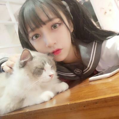 穿越吧名将最新版下载
